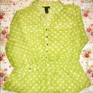Lane Bryant Polka Dot Sheer Top 16